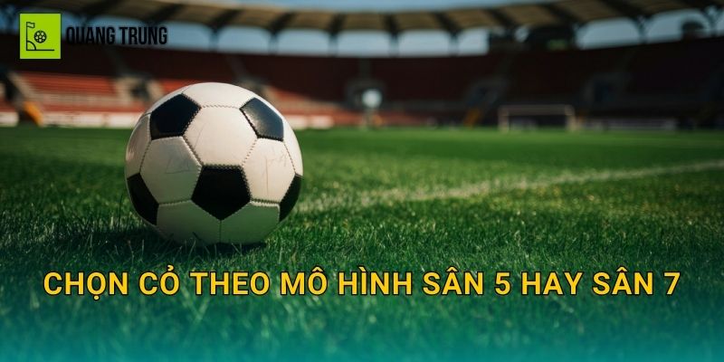 Chọn cỏ theo mô hình sân 5 hay sân 7
