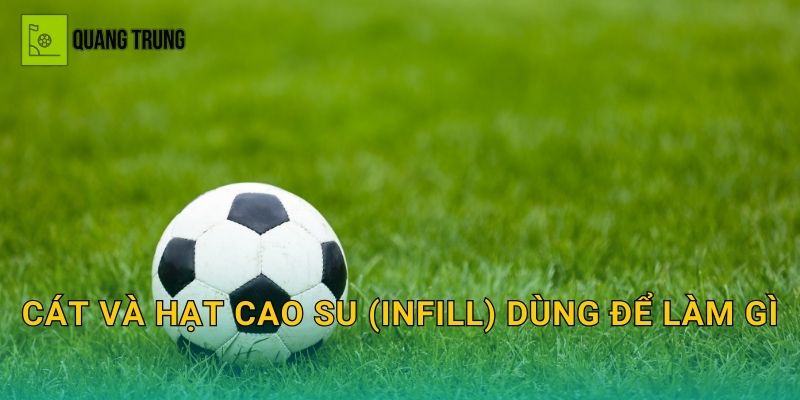 Cát và hạt cao su (infill) dùng để làm gì