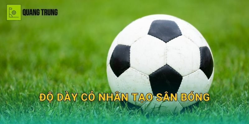 Độ dày cỏ nhân tạo sân bóng: Lớp đế, shockpad và tác động đến độ êm bền