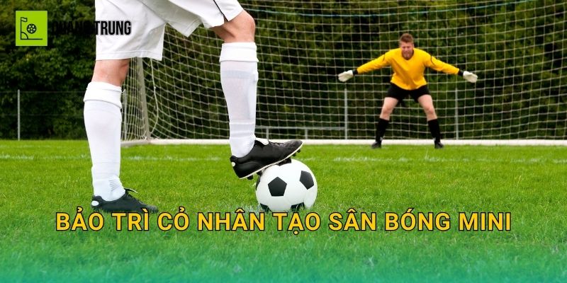 Bảo trì cỏ nhân tạo sân bóng mini: Lịch chải cỏ, vệ sinh và kéo dài tuổi thọ