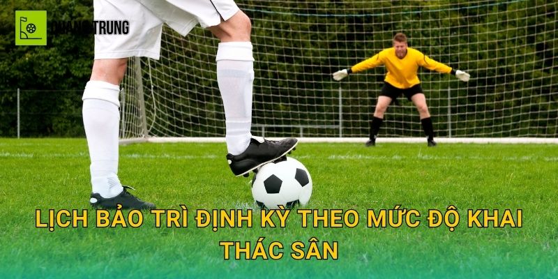 Lịch bảo trì định kỳ theo mức độ khai thác sân