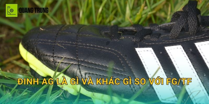Đinh AG là gì và khác gì so với FG/TF